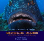Mediterraneo Bollente