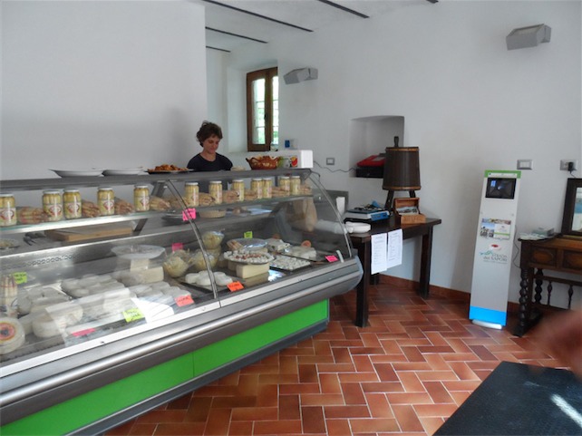 info point ghirla