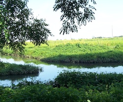 fiume olona