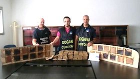 coca linate foto