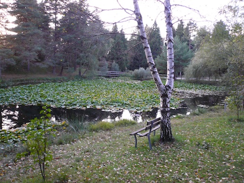 laghetto montegrino valtravaglia