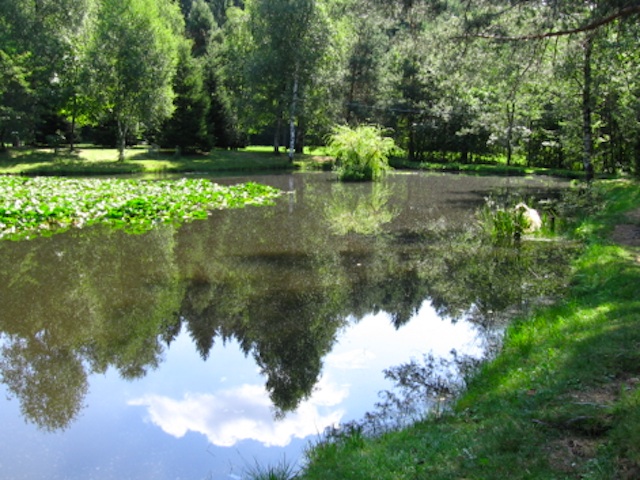 laghetto pineta alta montegrino