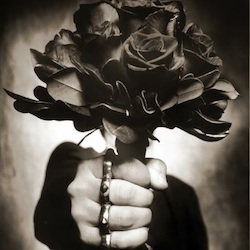 violenza donne 