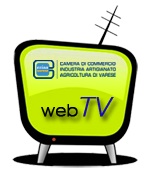 camera commercio web tv