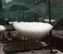 grandine seconda aprile