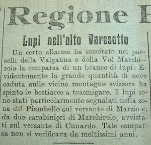 lupi prealpina