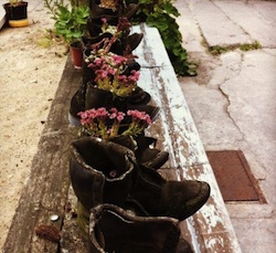 foto mattino primo luglio