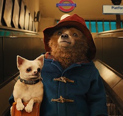 Paddington cartone animato