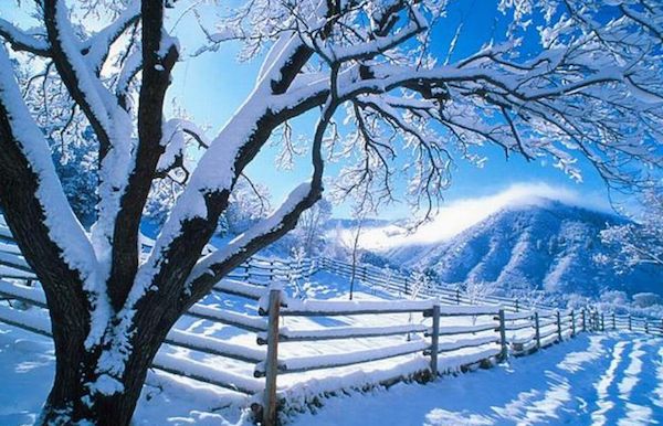 foto neve febbraio